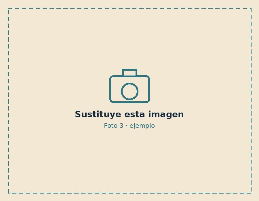 Informe fotográfico de postventa